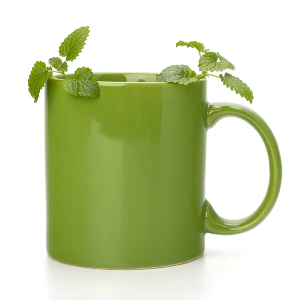 Чашка мятного чая с травами — стоковое фото