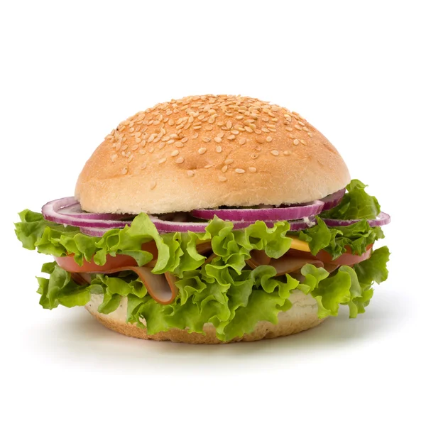 stock image Junk food hamburger