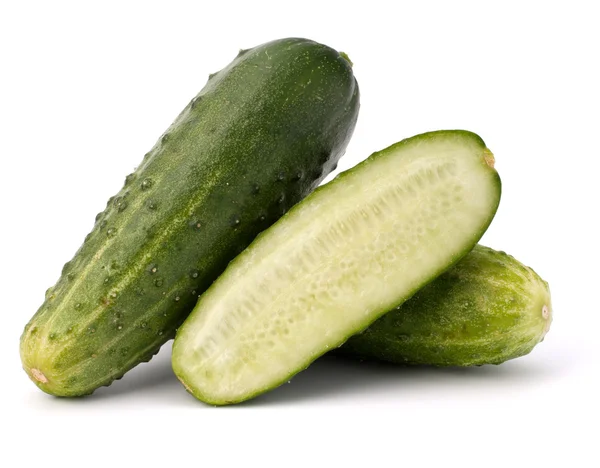 Cucumber vegetable — Stock Photo, Image