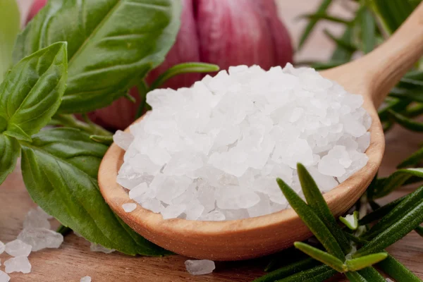 stock image Fresh herbs and salt spoon