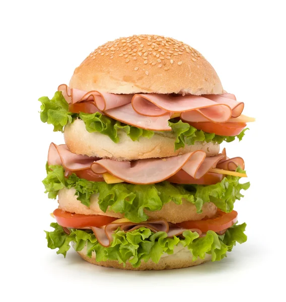 stock image Junk food hamburger