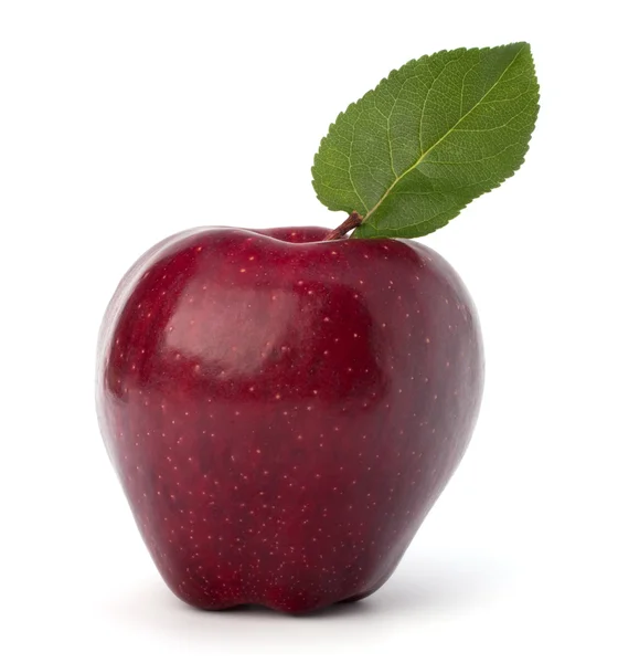 Słodkie czerwone jabłko z zielonych liści — Zdjęcie stockowe