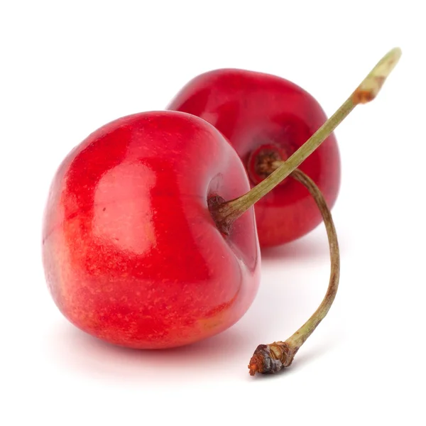 Два вишнею ягоди — стокове фото