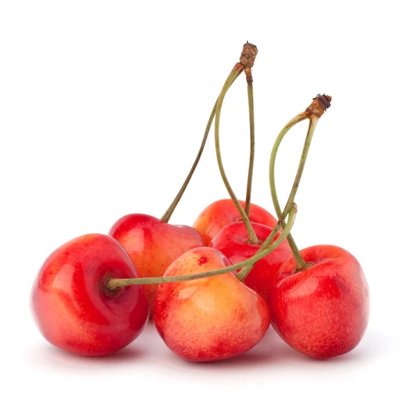 stock image Cherry