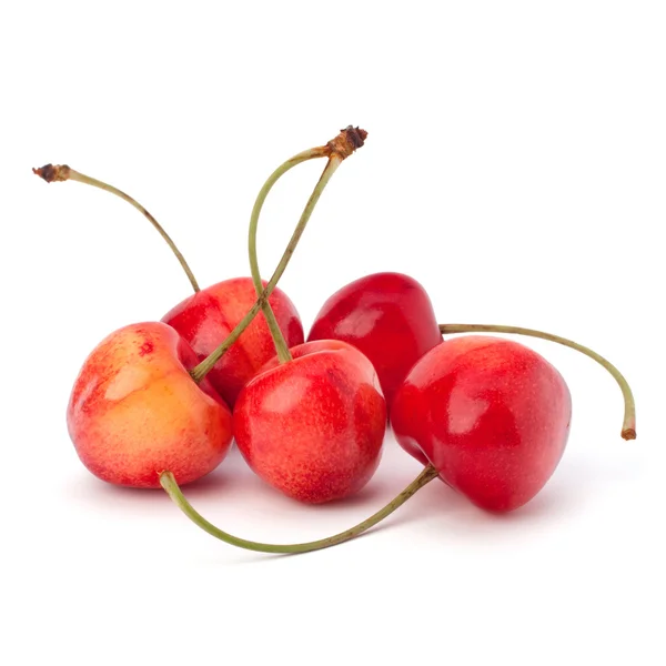 stock image Cherry