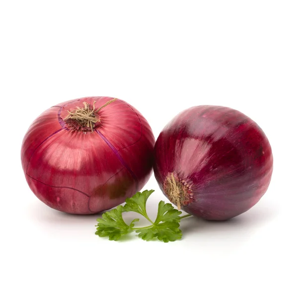 Red onion tuber and fresh parsley — Stock Photo, Image