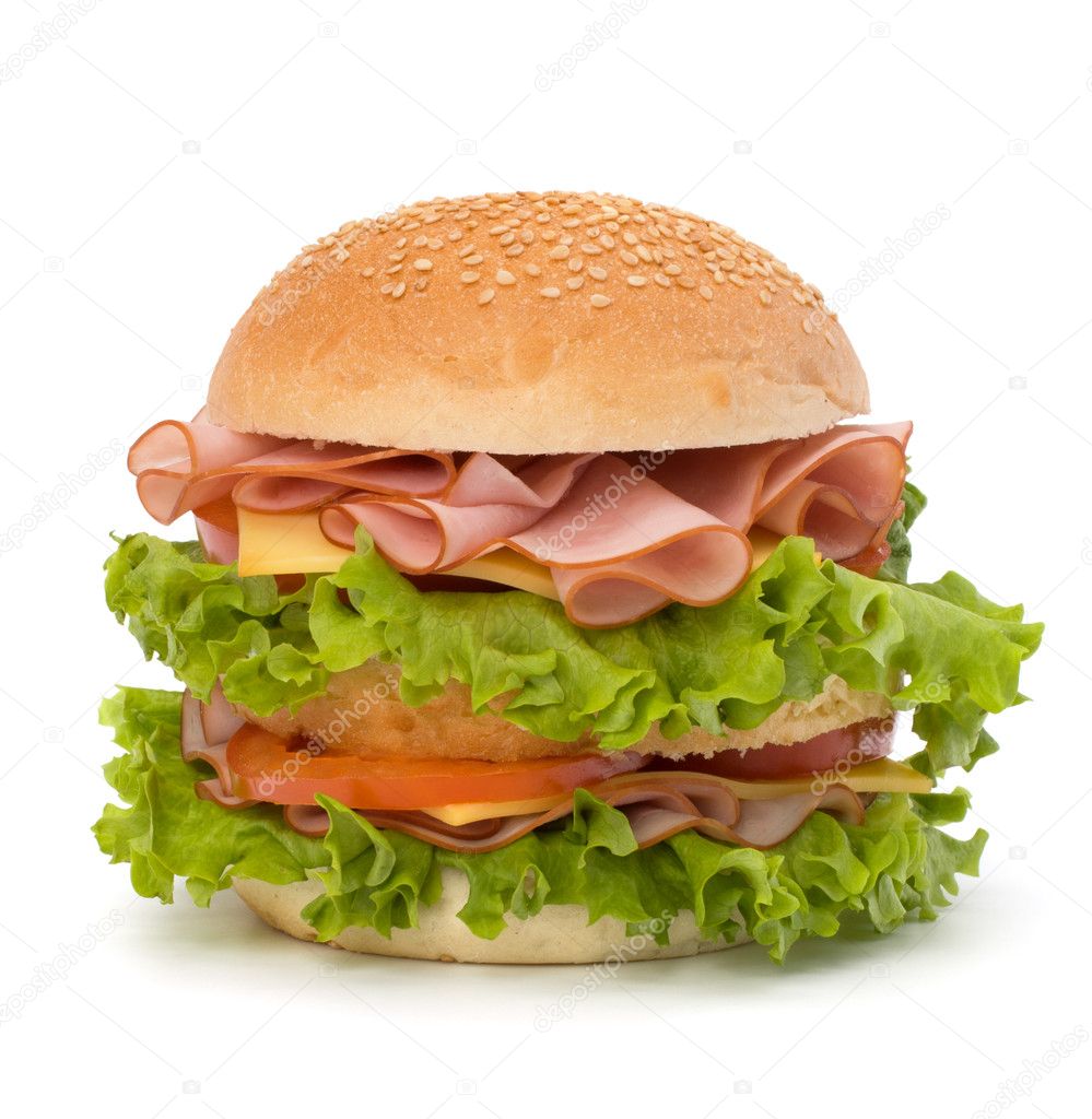 Junk food hamburger