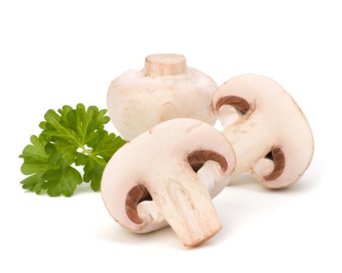 champignon mantar ve taze maydanoz