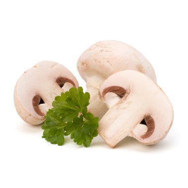 champignon mantar ve taze maydanoz