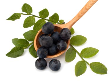 Mavi bilberry veya whortleberry