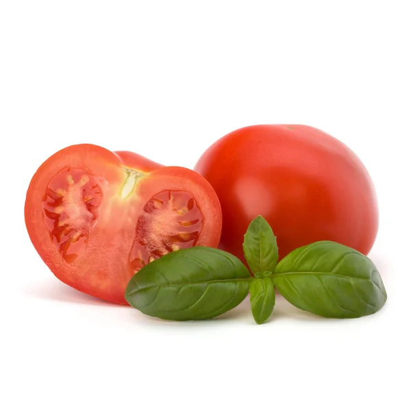 Feuille de tomate et basilic — Photo