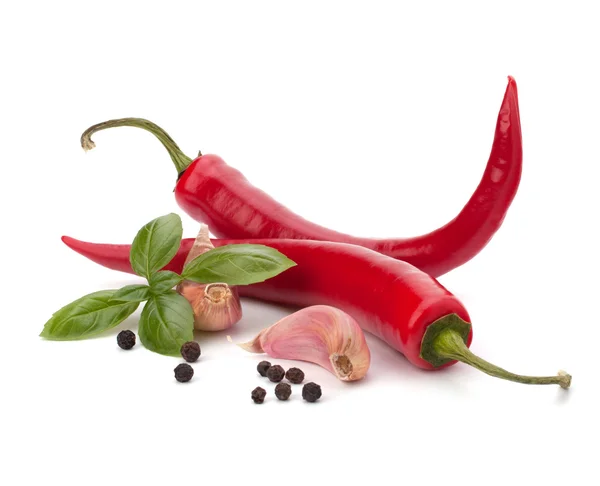 Chili peber og krydderi - Stock-foto