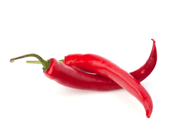 Chili pepper — Stock fotografie