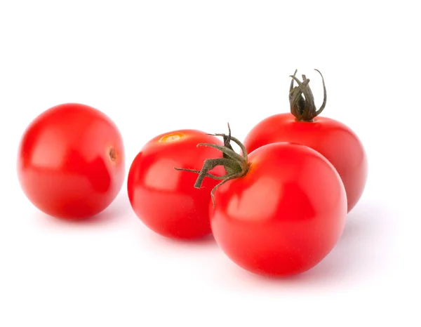 Mały pomidor — Zdjęcie stockowe