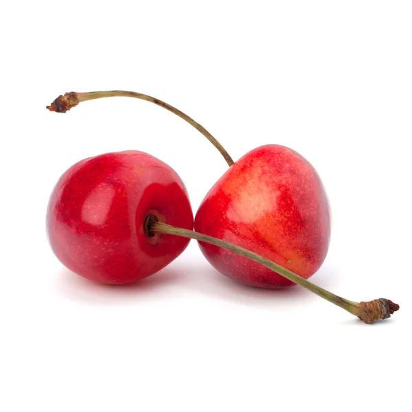 Due bacche di ciliegio — Foto Stock