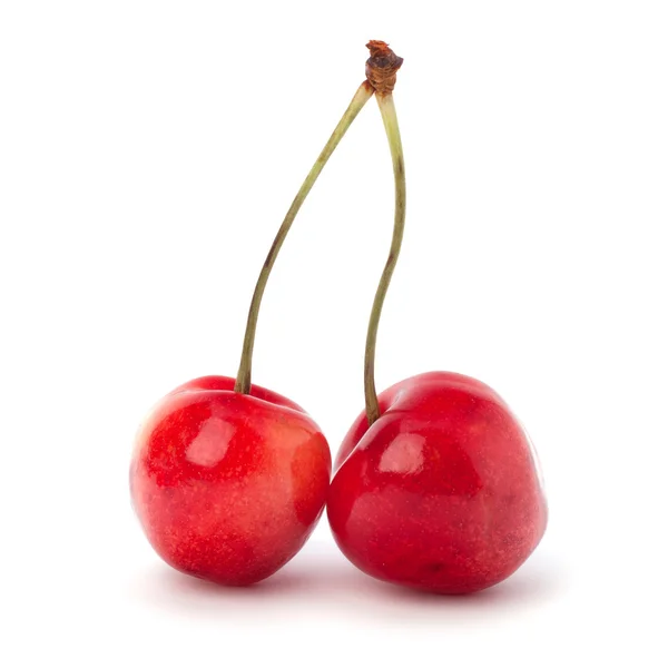 Két cseresznye bogyók — Stock Fotó