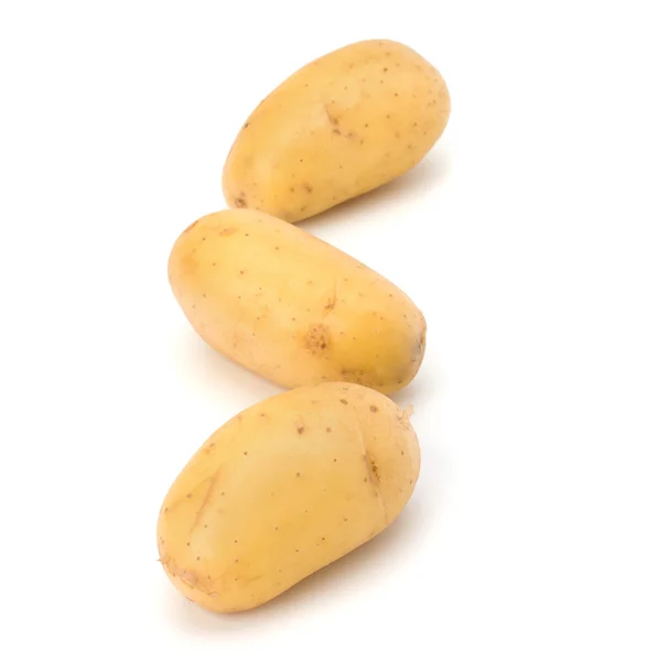 新土豆 — 图库照片