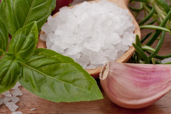 stock image Fresh herbs and salt spoon