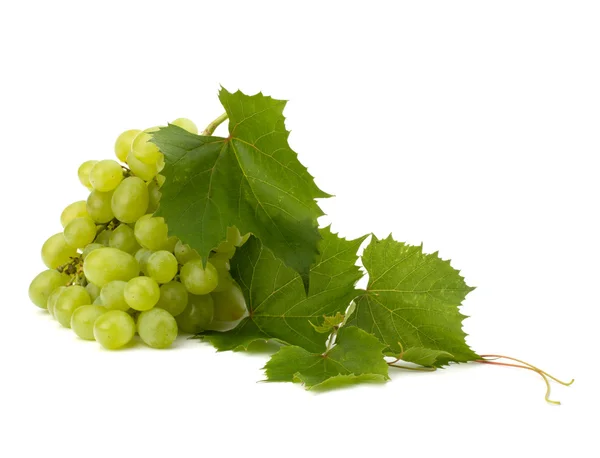 stock image Ripe grape whith leaf