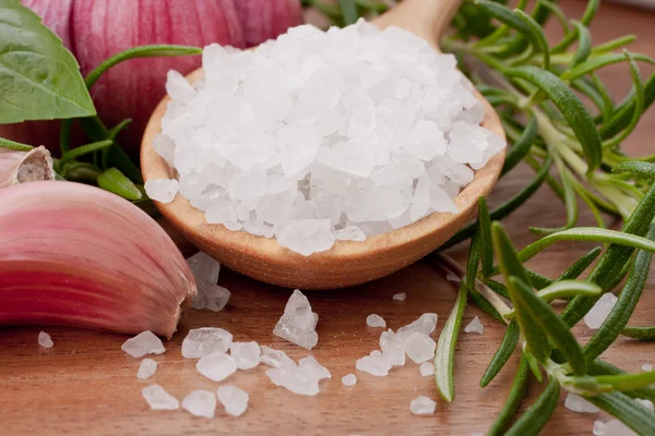 stock image Fresh herbs and salt spoon