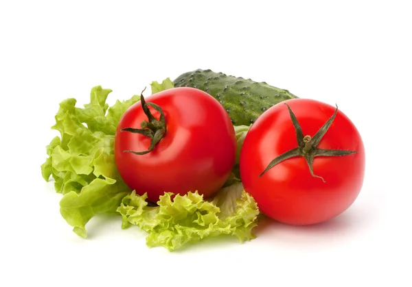 Rajčatový, Okurkový zeleniny a salátu — Stock fotografie