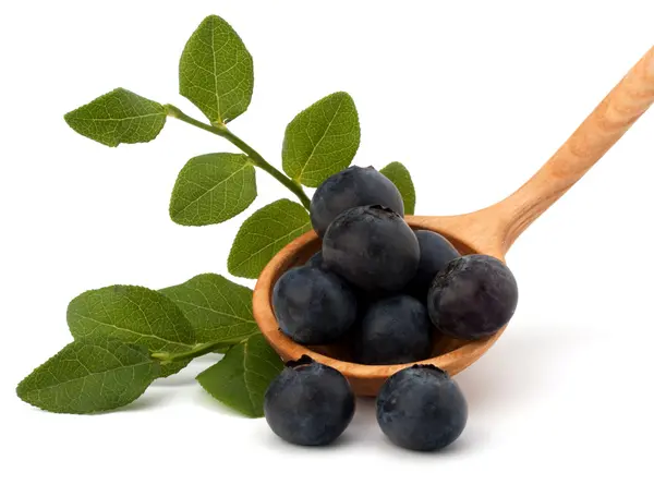 Mavi bilberry veya whortleberry — Stok fotoğraf