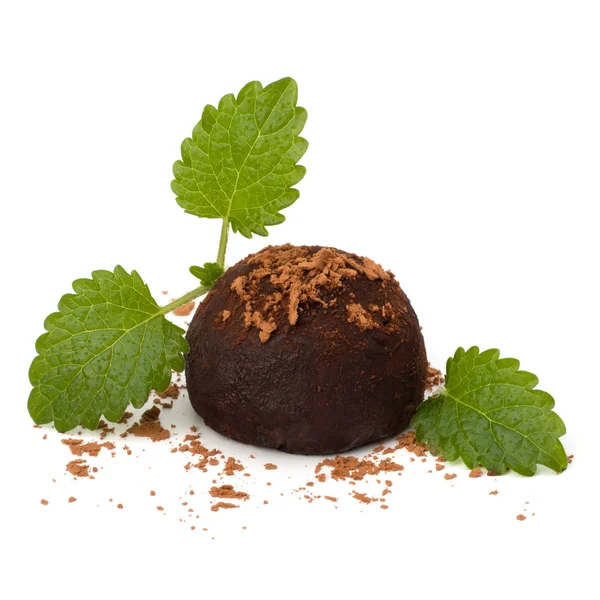Chocolate truffle candy — Stock Photo, Image