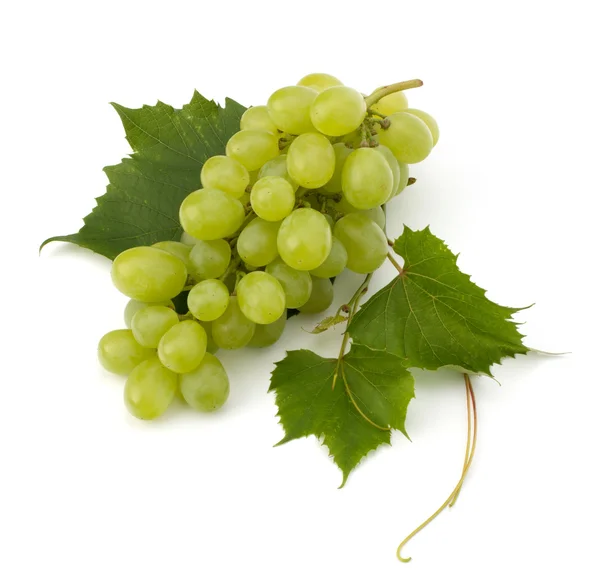 stock image Ripe grape whith leaf