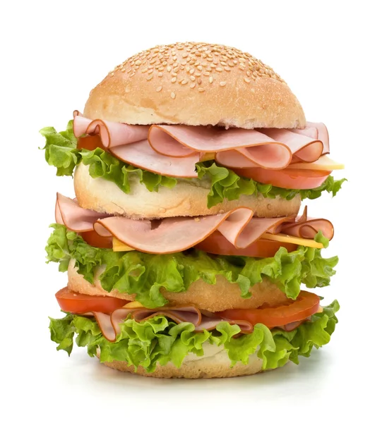 stock image Junk food hamburger