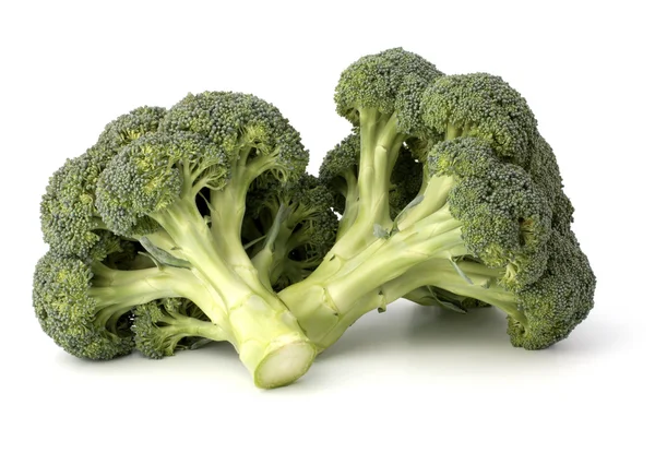 Brokoli sebze — Stok fotoğraf
