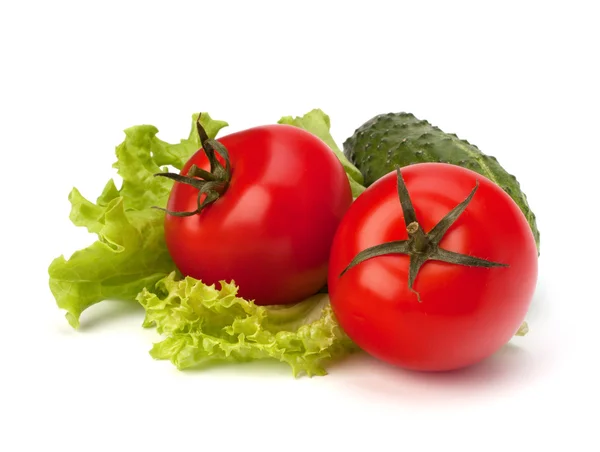 Tomat, gurka vegetabiliska och sallad sallad — Stockfoto