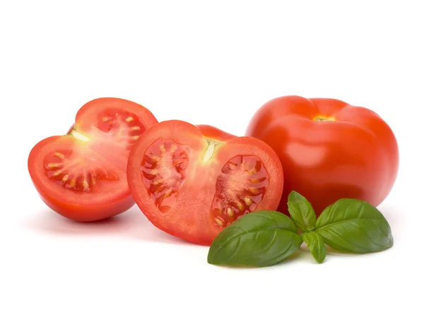 Feuille de tomate et basilic — Photo