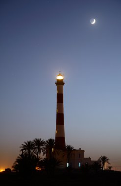 Deniz feneri ve palmiye ağaçları