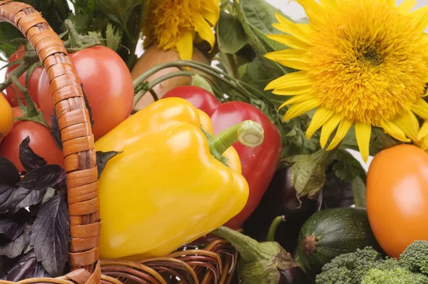 Növényi élelmiszer objektumok — Stock Fotó