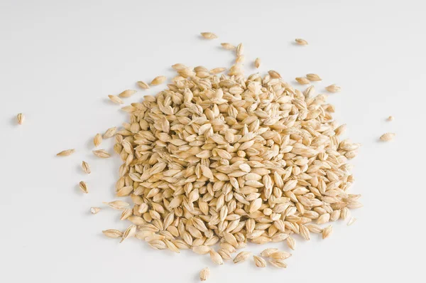 Buğday taneleri üzerinde beyaz — Stok fotoğraf