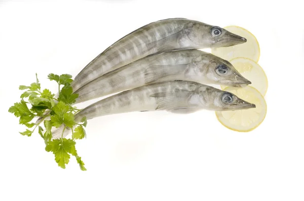 Sea food fish — Stock Photo, Image