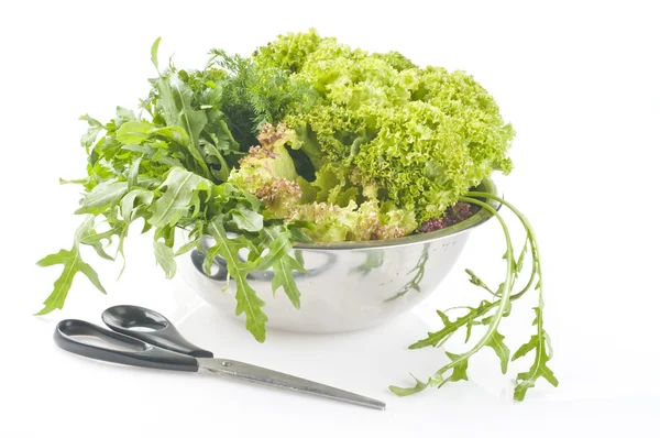 Fresh raw herbs and vegetables — Stock Photo, Image