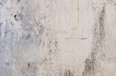 Grunge background of old wood wall with color spots clipart