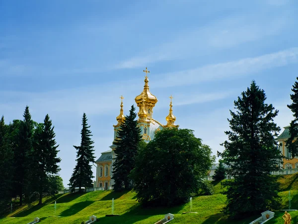 Palace in the parkland — Stock Photo, Image