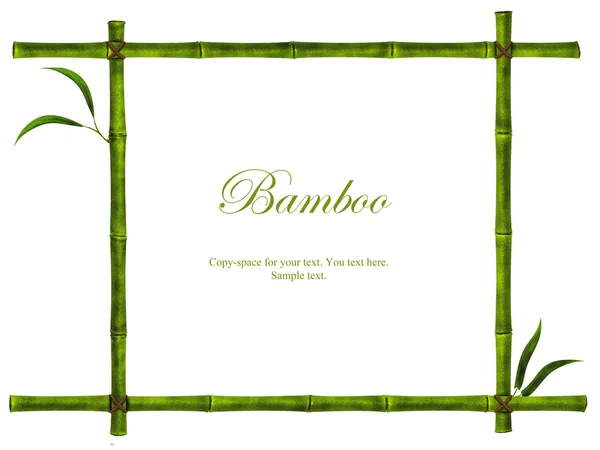 Bambu çerçeve — Stok fotoğraf