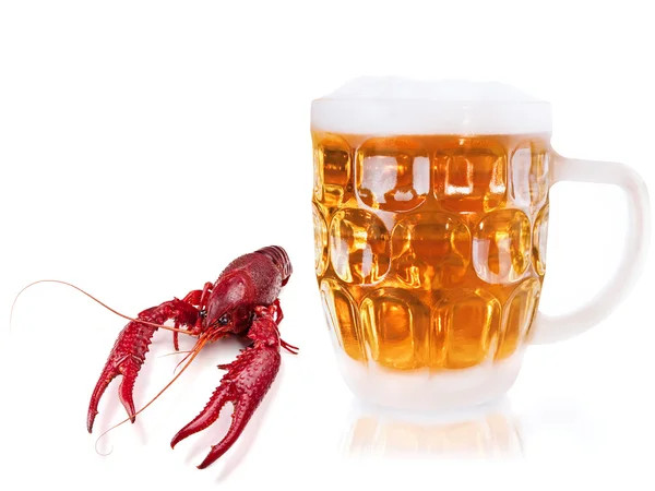 Crawfish and beer — Stock Photo, Image
