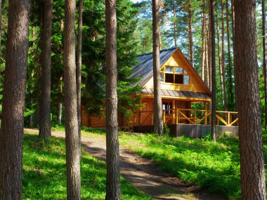 House in forest clipart