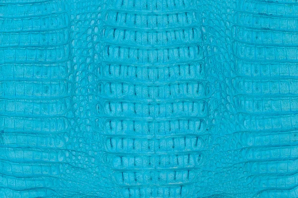 Krokodillenhuid textuur — Stockfoto