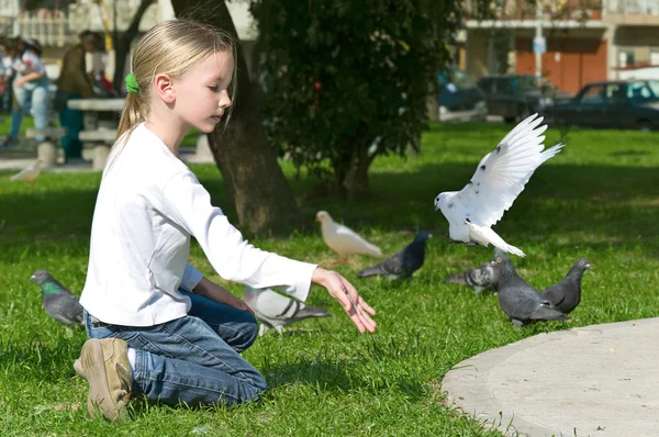 Alimentando pombos no parque — Fotografia de Stock