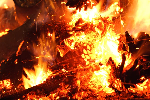 Brannflammer – stockfoto