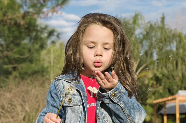 Menina soprando dente-de-leão — Fotografia de Stock