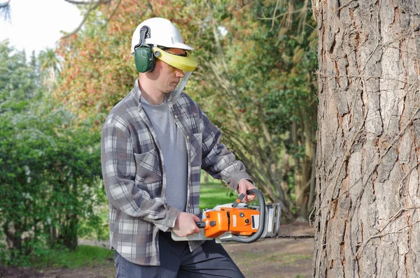 Man cutting log into sections with chainsaw — Stock Photo, Image