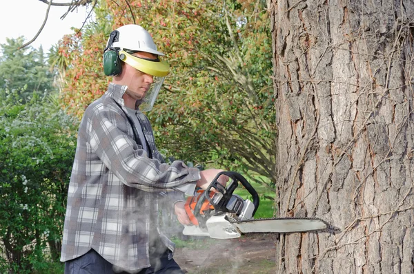 Man cutting log into sections with chainsaw — Stock Photo, Image