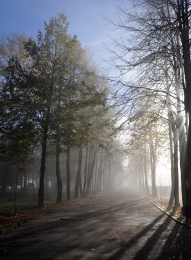 sisli yol