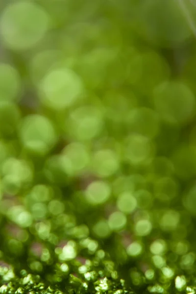 Αφηρημένο πράσινο φόντο με κύκλους — Φωτογραφία Αρχείου